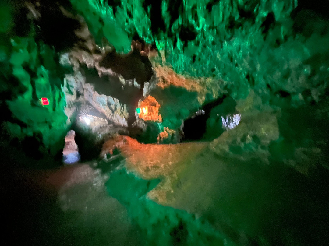 Cave Spring Welcome Center & Msm