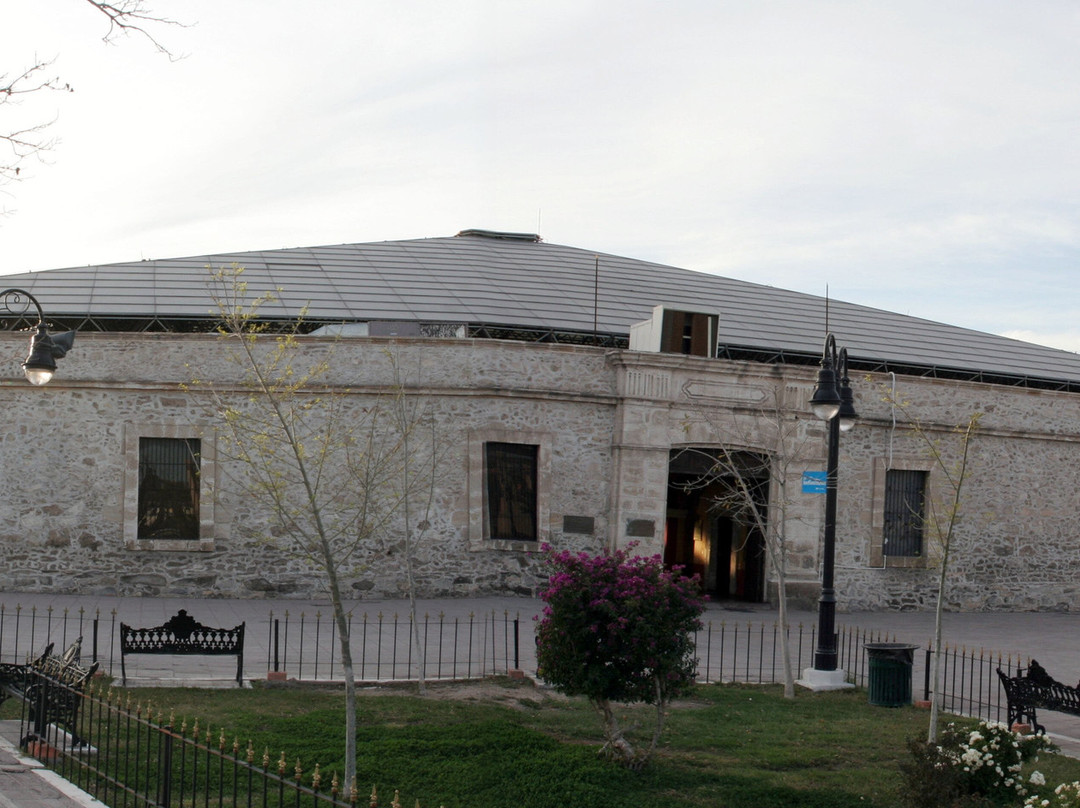 Museo Coahuila - Texas