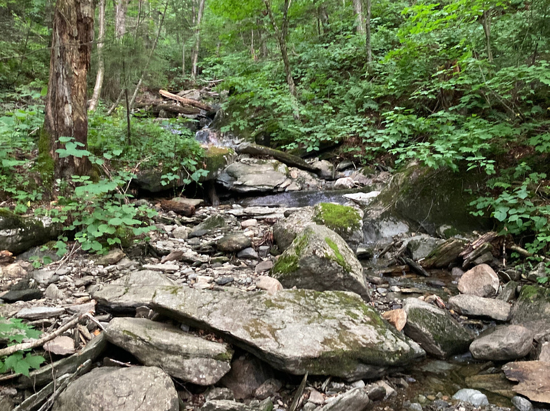 Parc d'environnement Naturel de Sutton-Sutton必去景点
