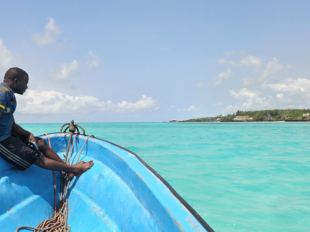 Massa Junior Zanzibar Tours & Safaris-Chwaka必去景点