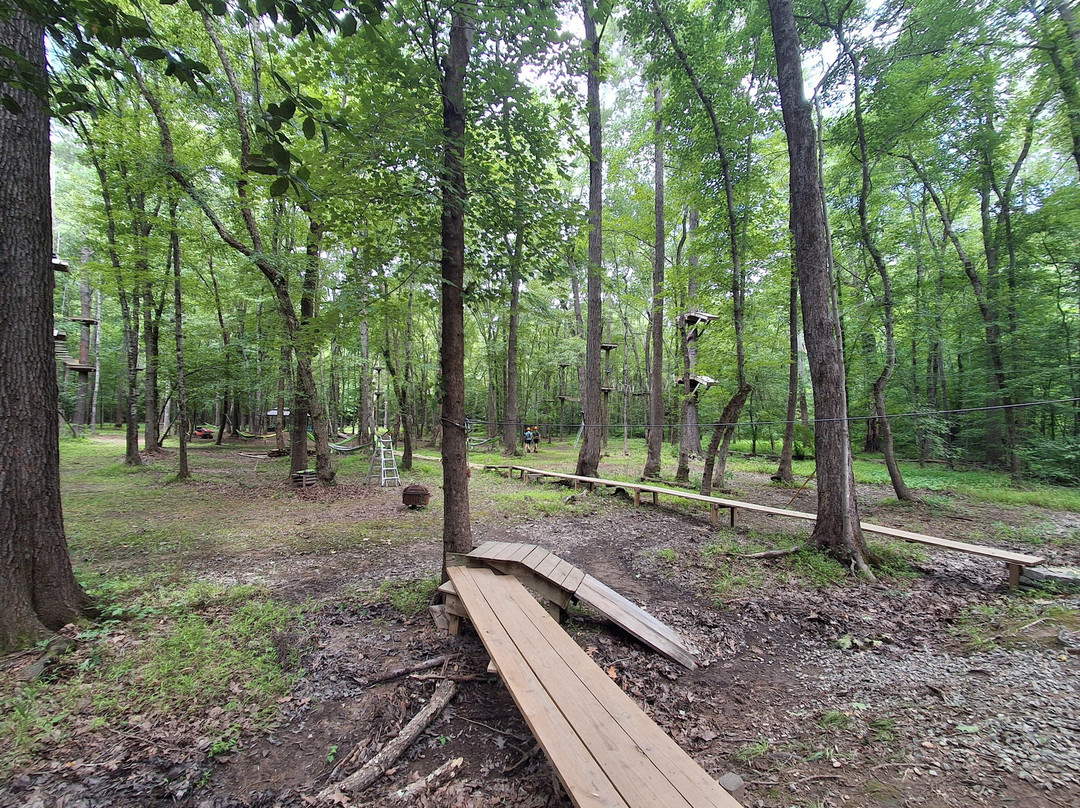 Canopy Adventure Park-中洛锡安必去景点
