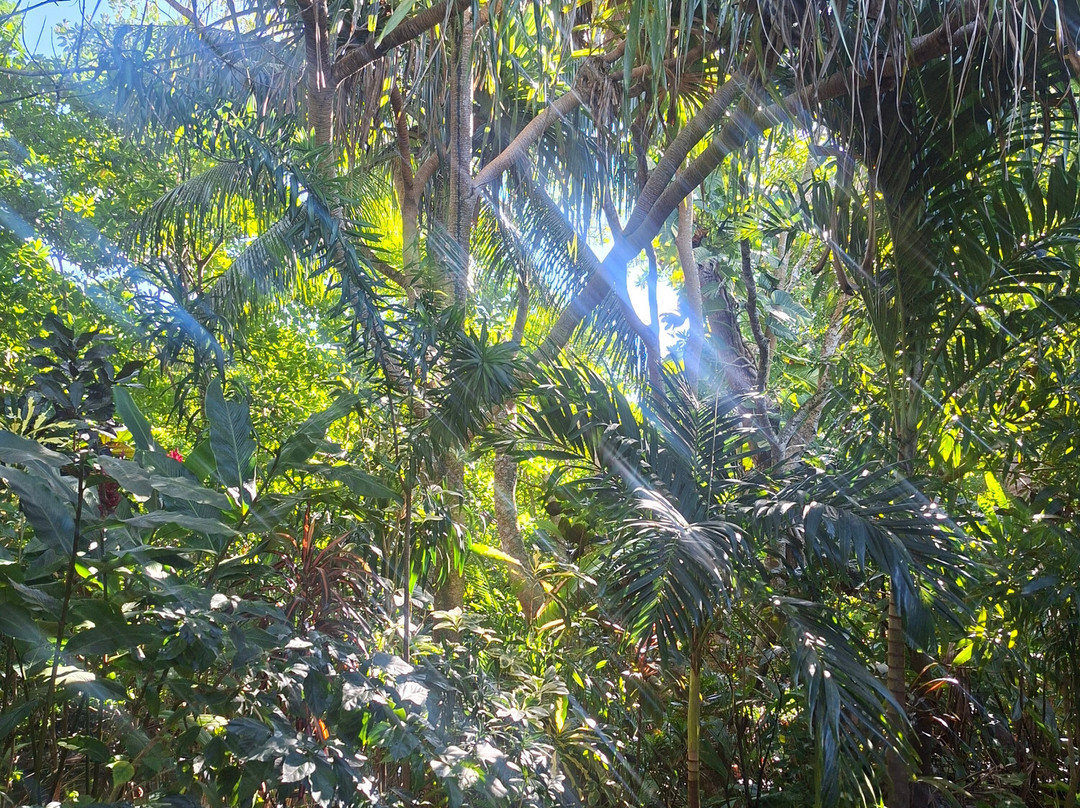 Sigatoka Spa-辛加东卡必去景点