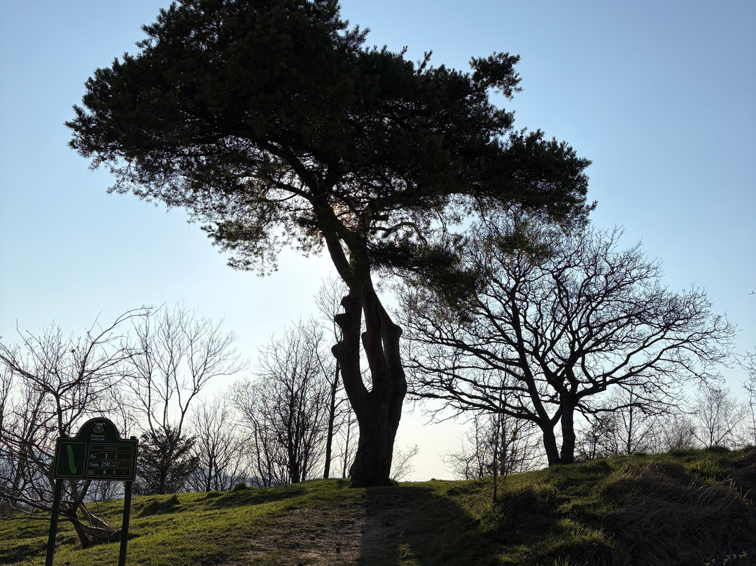 Painswick Beacon-Painswick必去景点