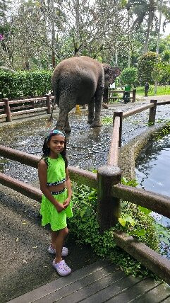 Best Ubud Driver-乌布必去景点