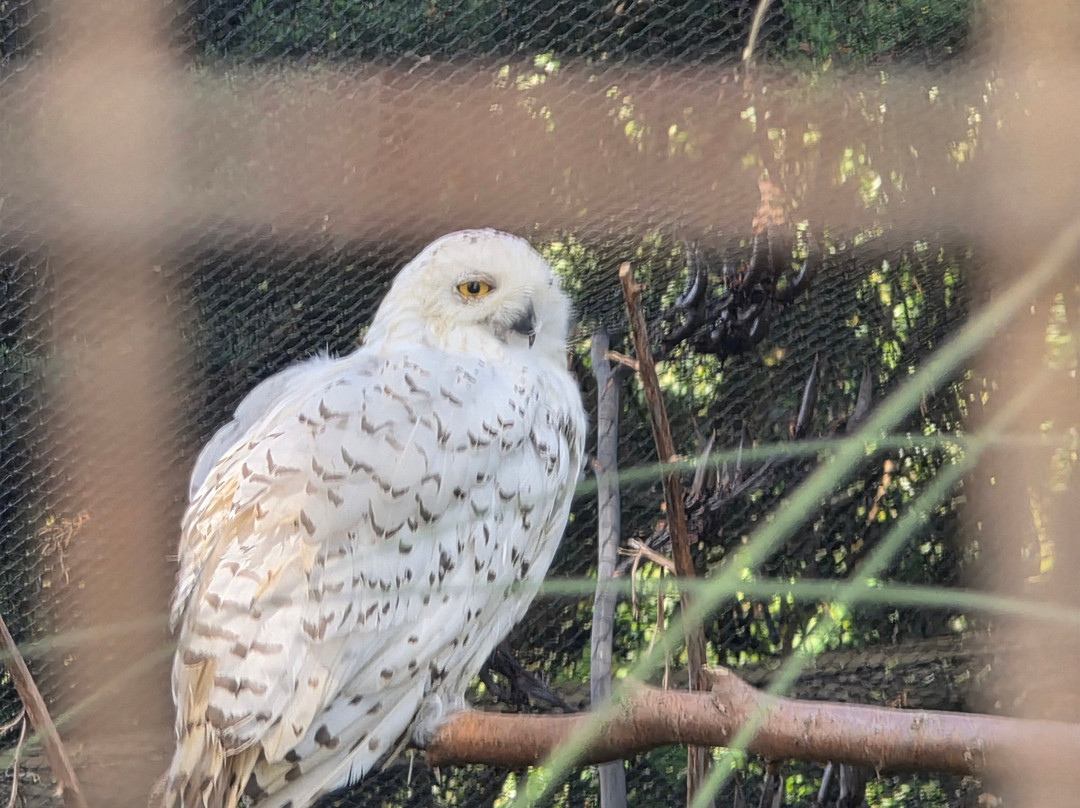Newquay Zoo-纽奎必去景点