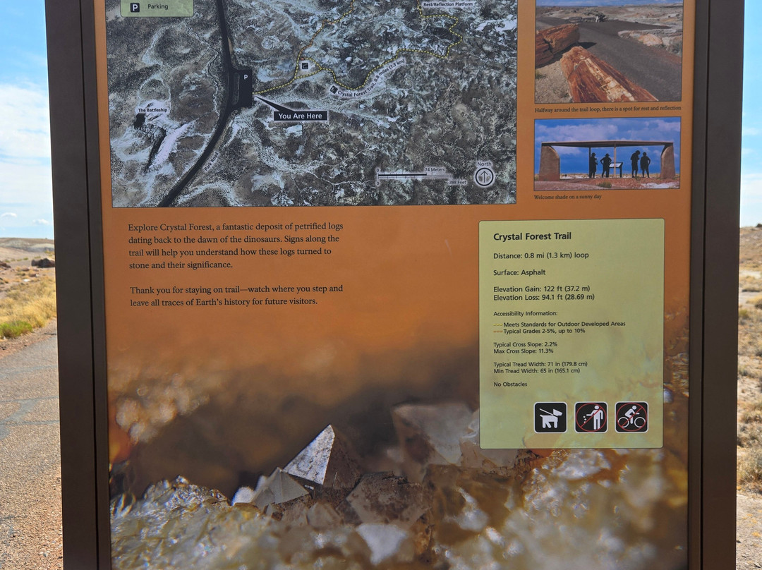Petrified Forest National Park-霍尔布鲁克必去景点