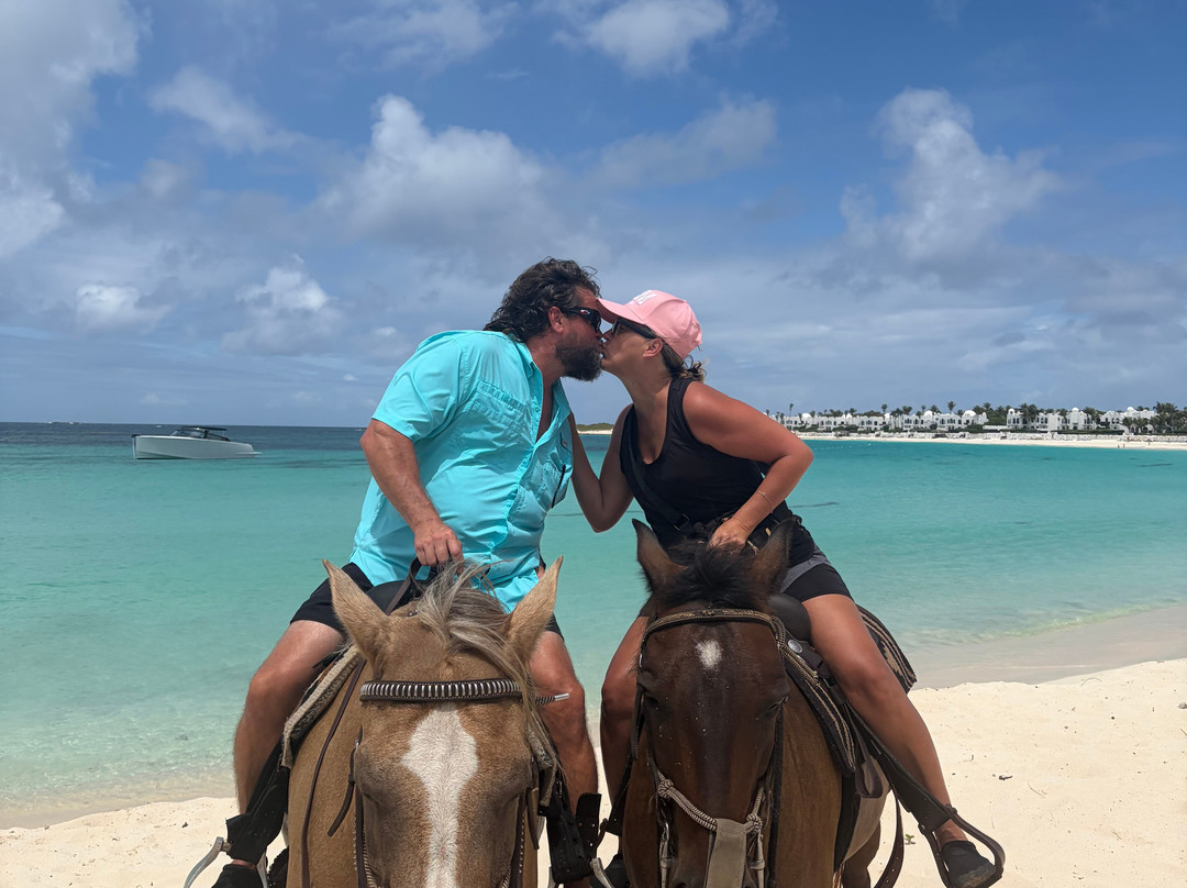 Seaside Stables Anguilla-West End Village必去景点