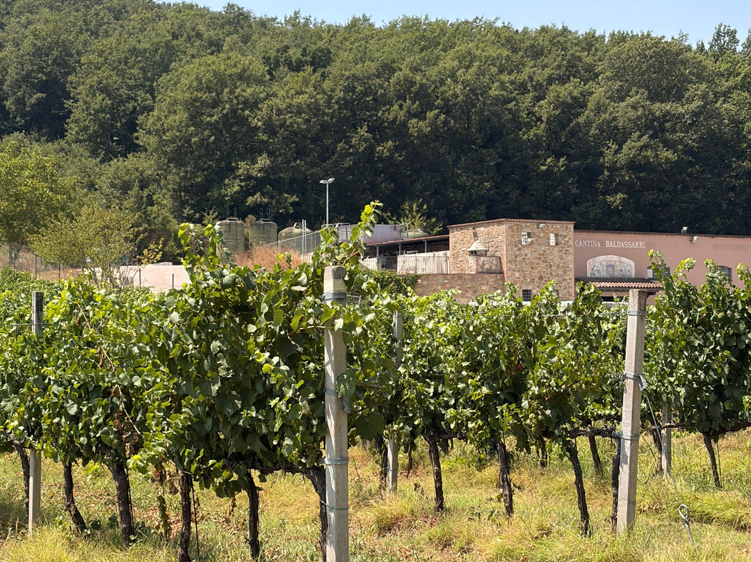 Cantina Baldassarri-Collazzone必去景点