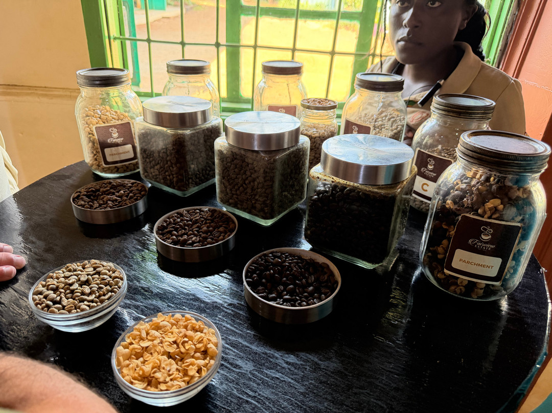 Fairview Coffee Estate-内罗毕必去景点