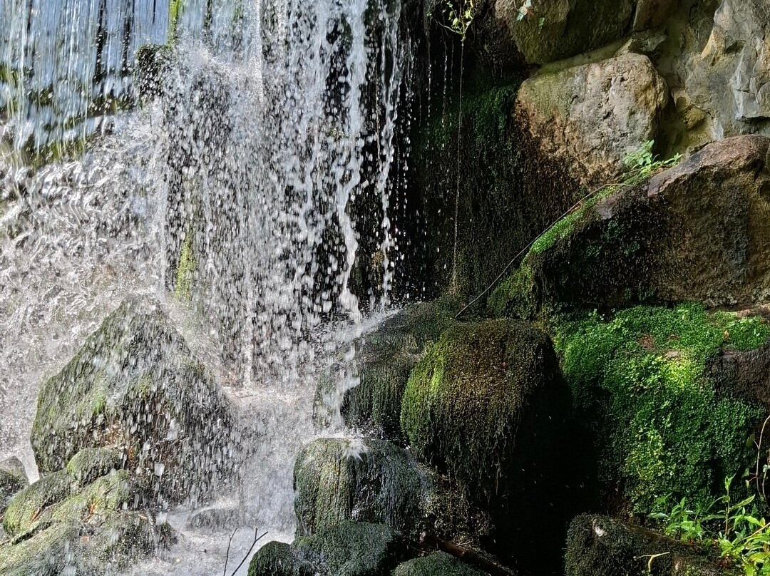 Park Sonsbeek-阿纳姆必去景点