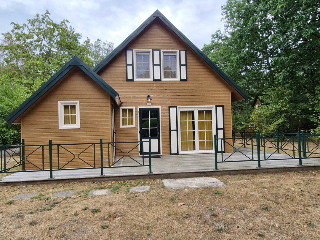 Molenheide Park主图