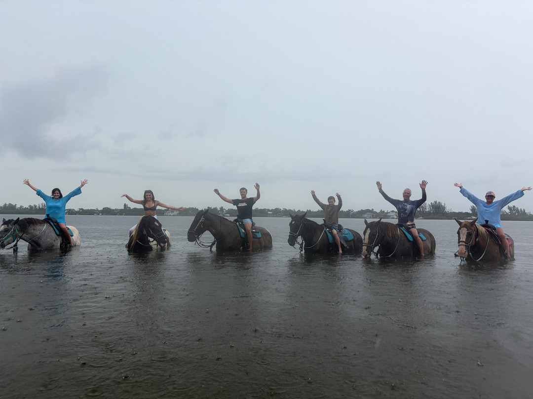 Florida Beach Horses-布雷登顿必去景点