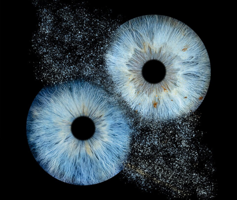 Iris Galerie Groningen
