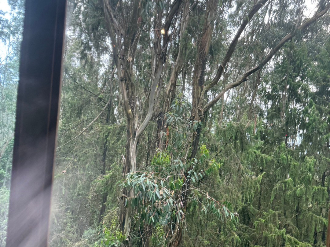 Kuriftu Entoto Adventure Park-亚的斯亚贝巴必去景点