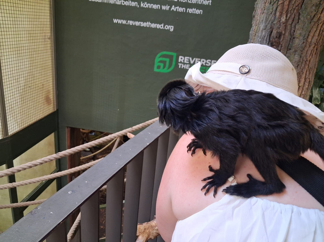 Zoo Schwerin-什未林必去景点