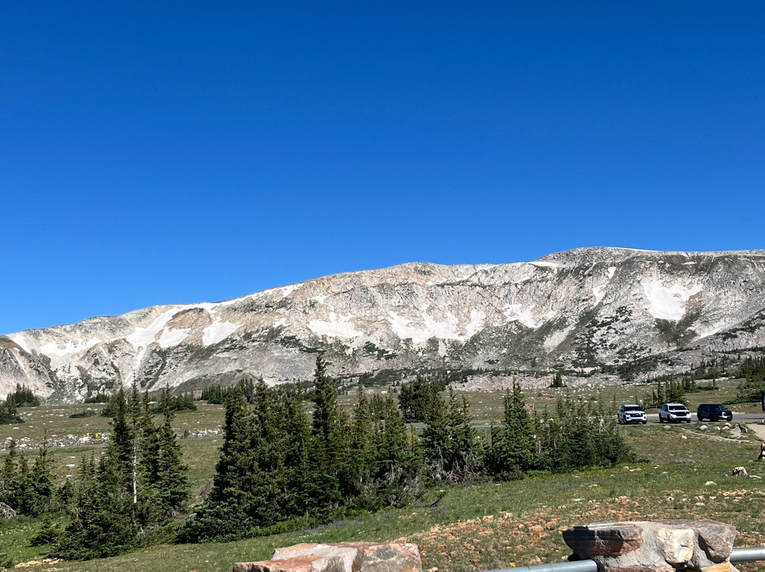 Medicine Bow National Forest-拉勒米必去景点