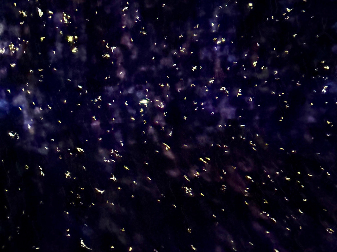 Teamlab Borderless Tokyo-港区必去景点