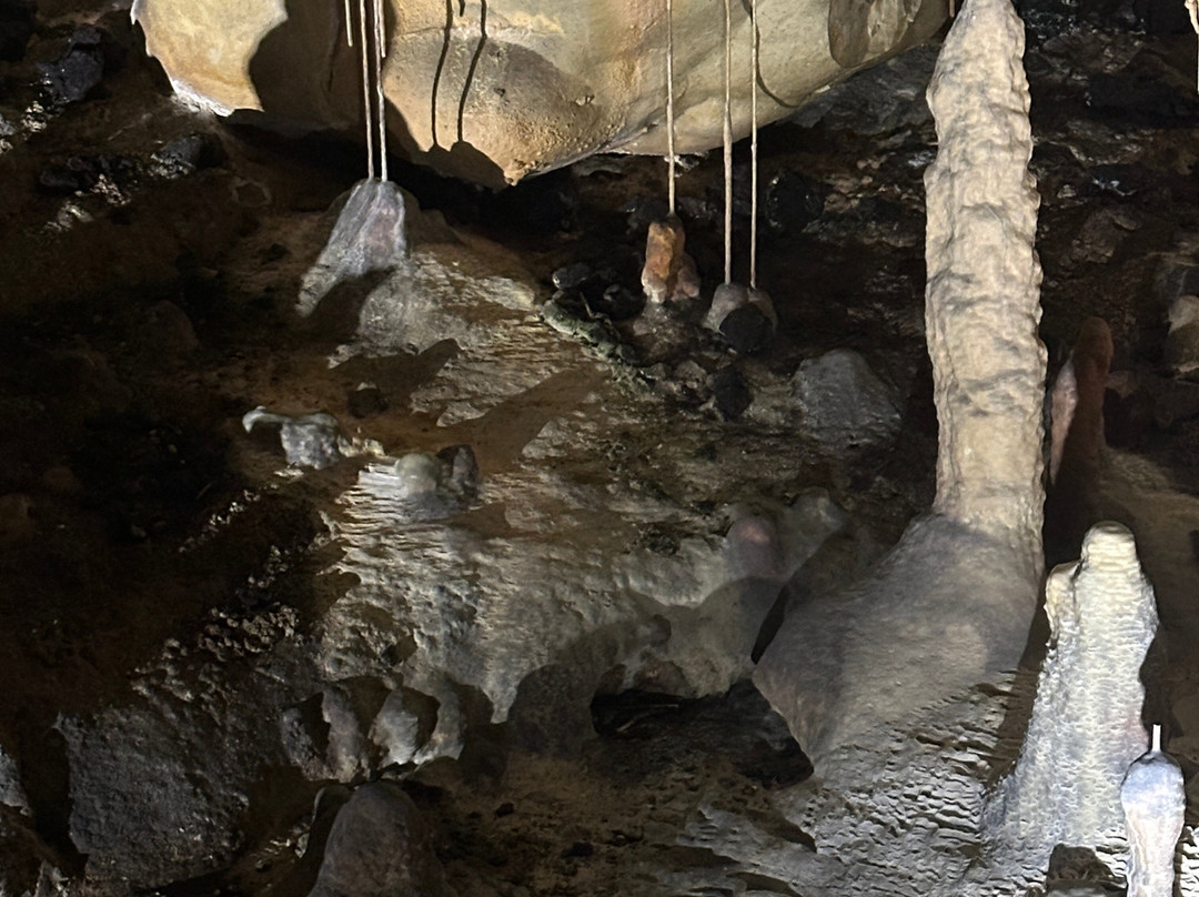 Grottes de Thouzon-Le Thor必去景点