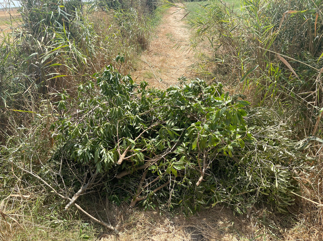 Hipica Mangueta-贝赫尔－德拉弗龙特拉必去景点