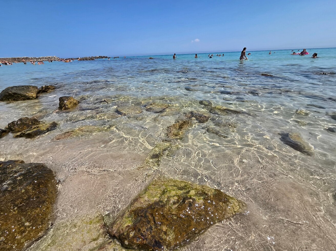 Spiaggia Torre Guaceto-Carovigno必去景点