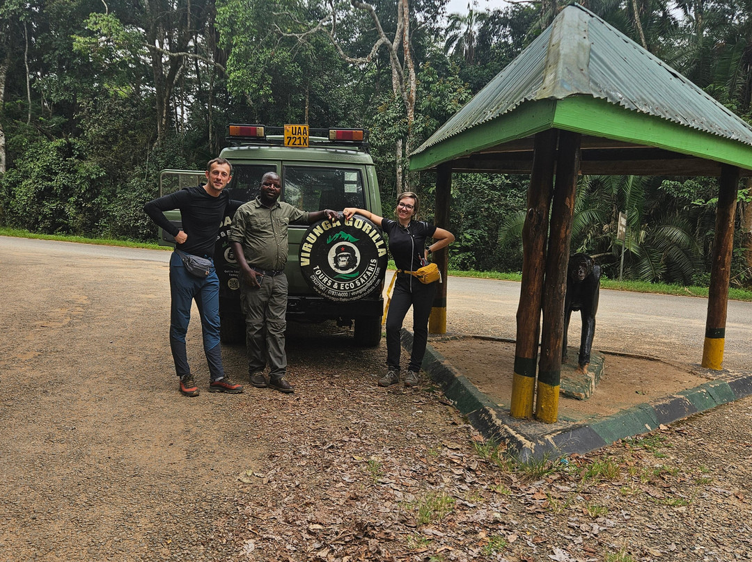 Virunga Gorilla Tours and Eco Safaris-Kisoro必去景点