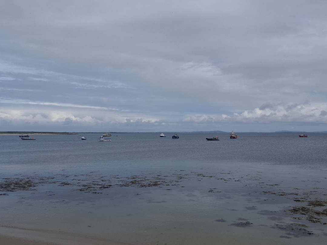 Belmullet Boat Charters - Inishkea Ferry & Sea Safari Tours-Belmullet必去景点