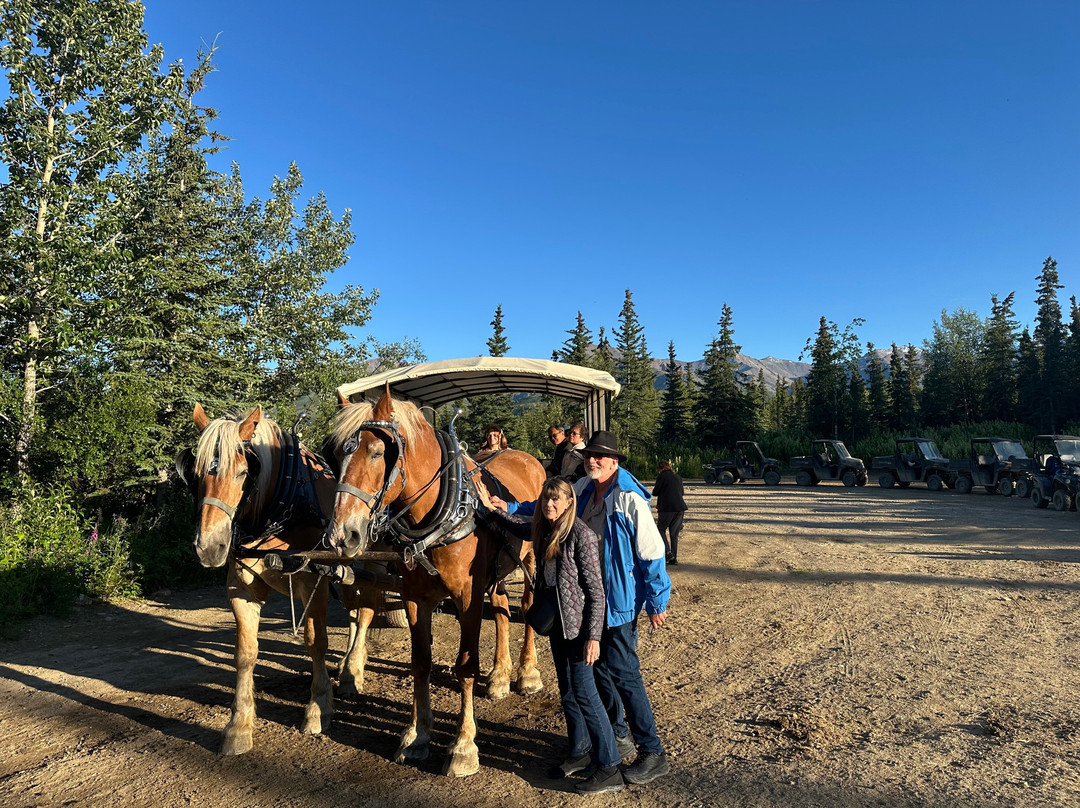 Denali Black Diamond Covered Wagon-Denali Park必去景点