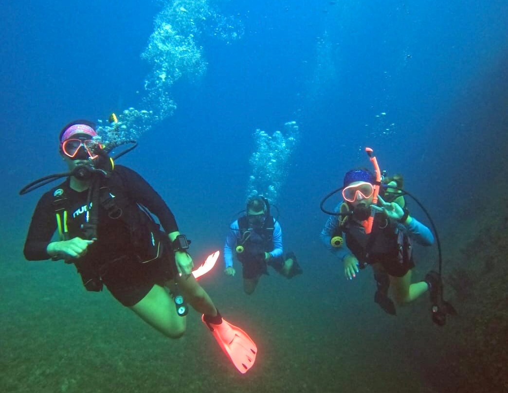 Aruba Premier Boat and Dive-奥腊涅斯塔德必去景点