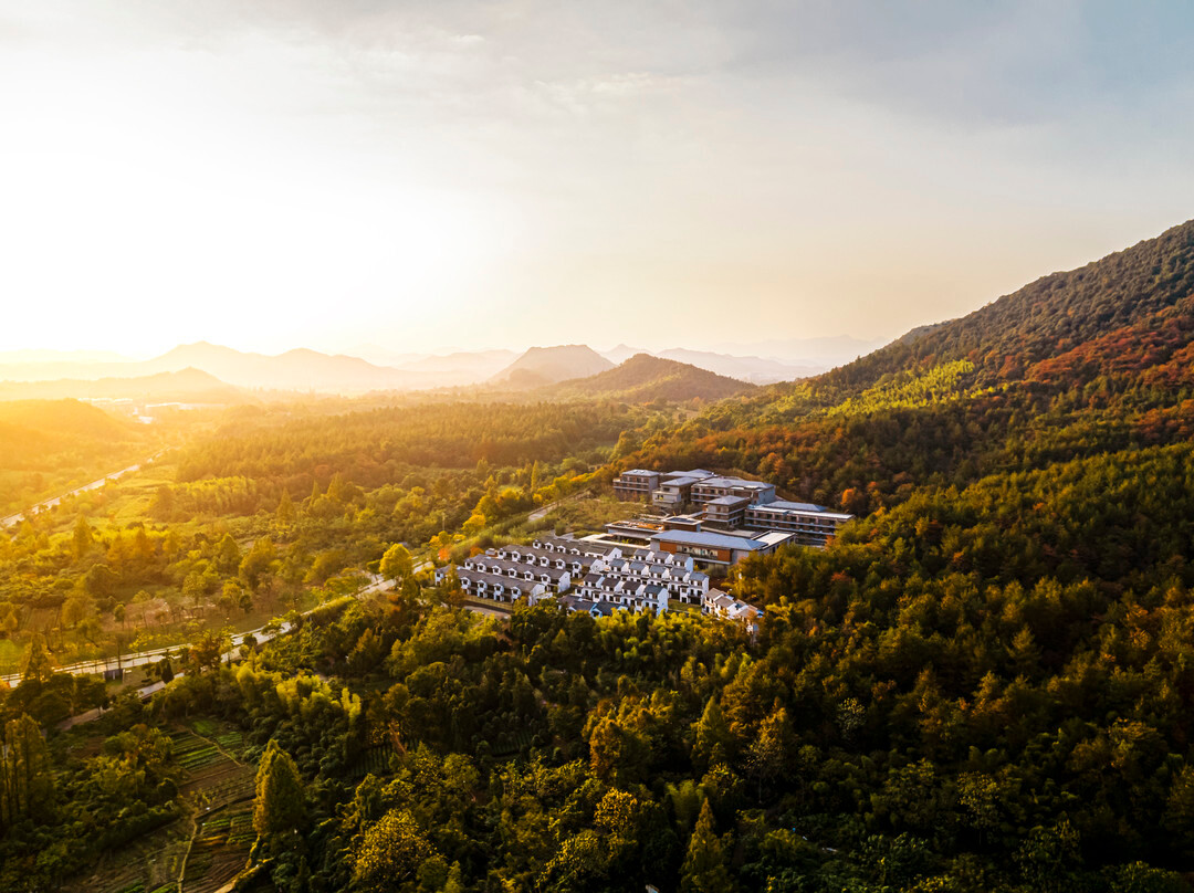 安吉县酒店住宿-Hotel Indigo Anji by IHG