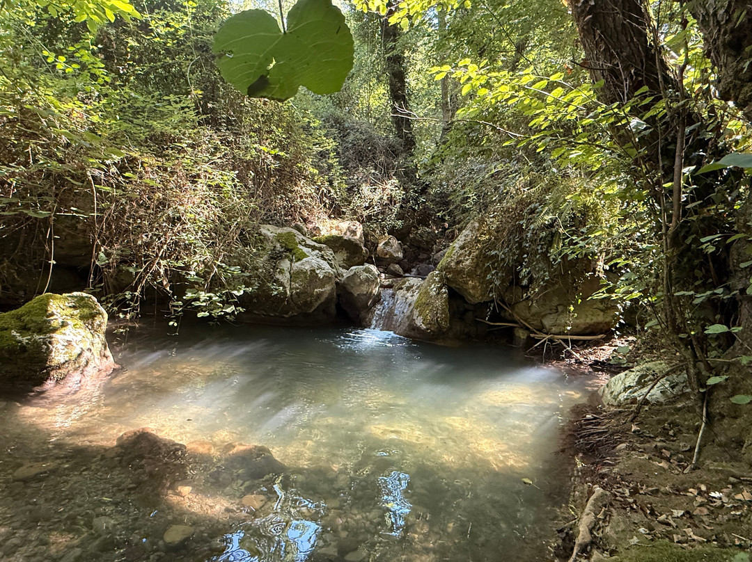 Acqua Trekking-Viggianello必去景点