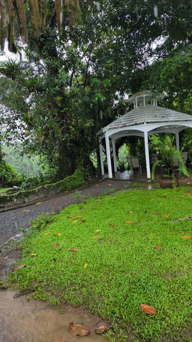 阿兰瓦萨拉皮基雨林旅馆-旅行者
