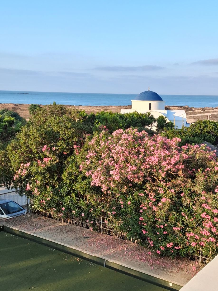 Constantinou Bros Pioneer Beach Hotel-旅行者