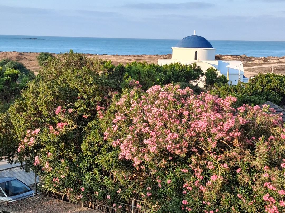 Constantinou Bros Pioneer Beach Hotel主图