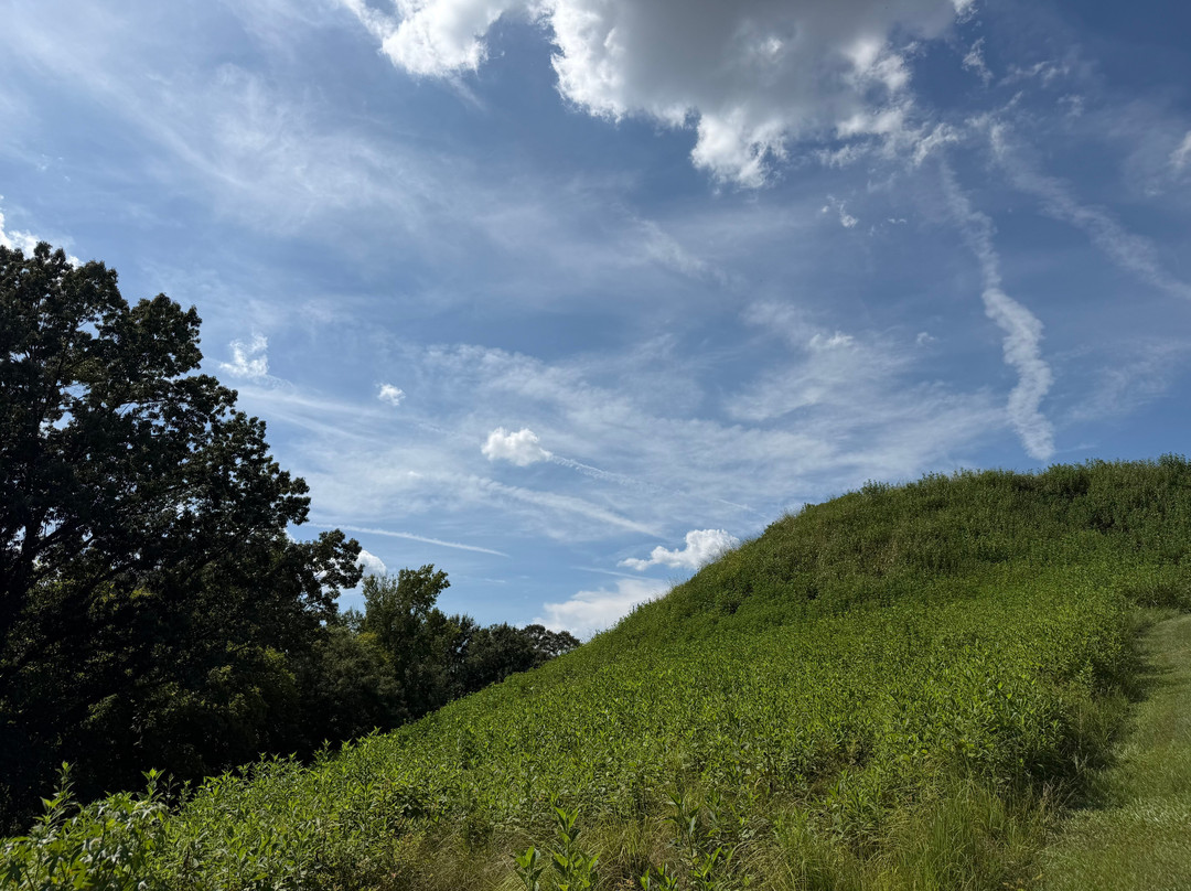 Ocmulgee Mounds National Historical Park-梅肯必去景点