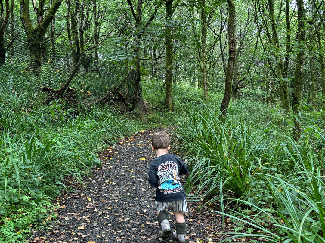 Bowland Country Park-普雷斯顿必去景点