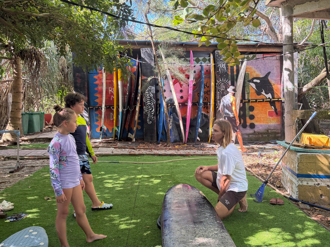Surfing LIVE Surf School-芽庄必去景点