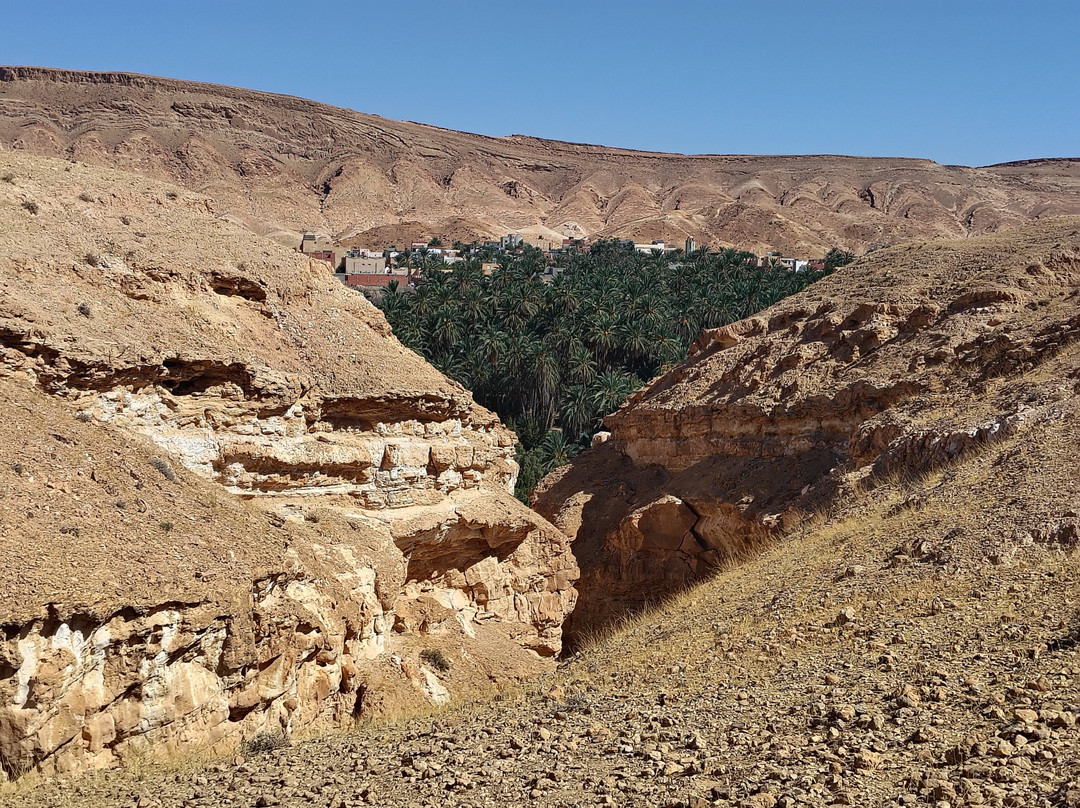 Tamerza Canyon-吐泽尔必去景点