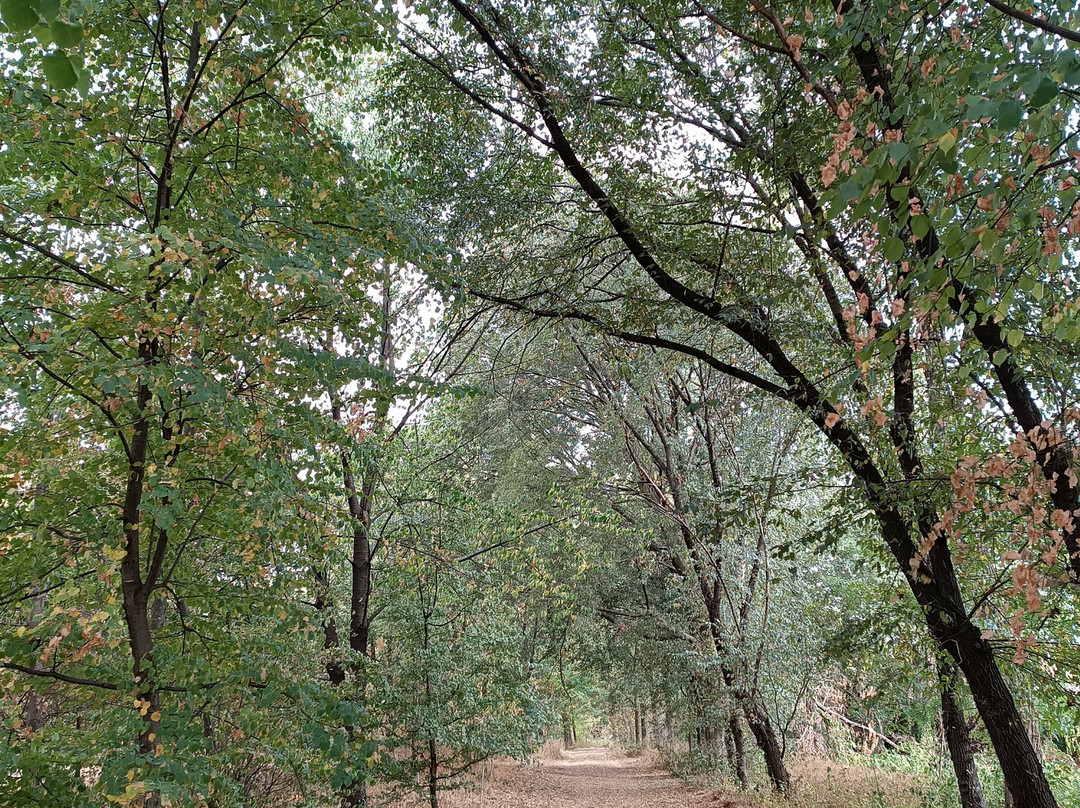 Parco di Villa Annoni-Cuggiono必去景点