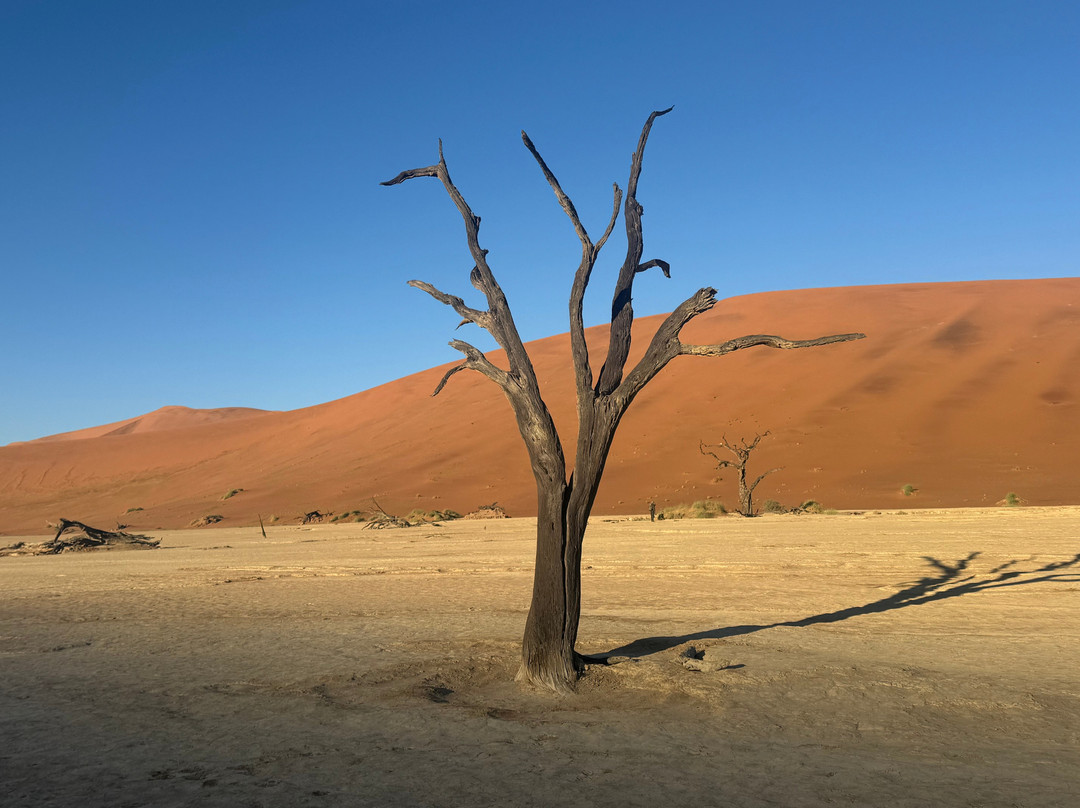 Deadvlei-苏丝斯黎必去景点