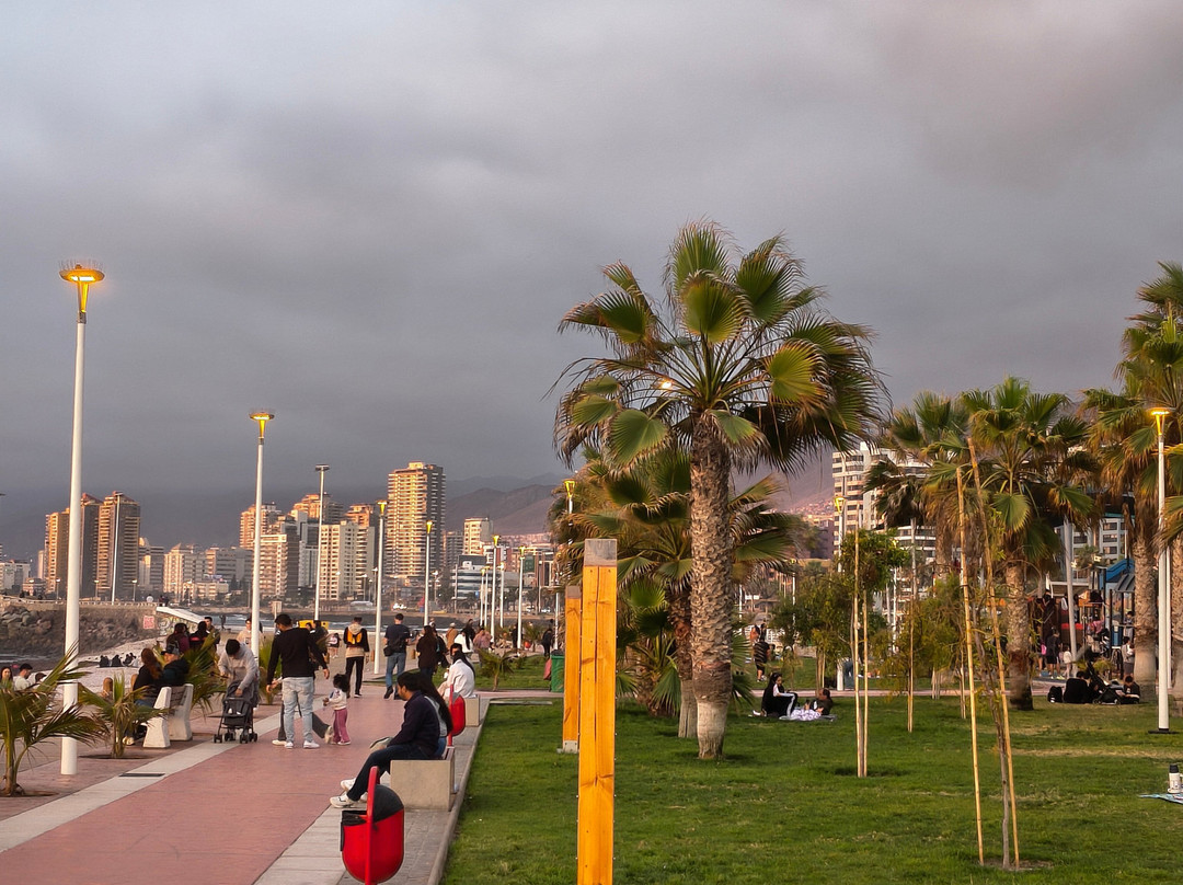 Paseo del Mar Antofagasta-安托法加斯塔必去景点