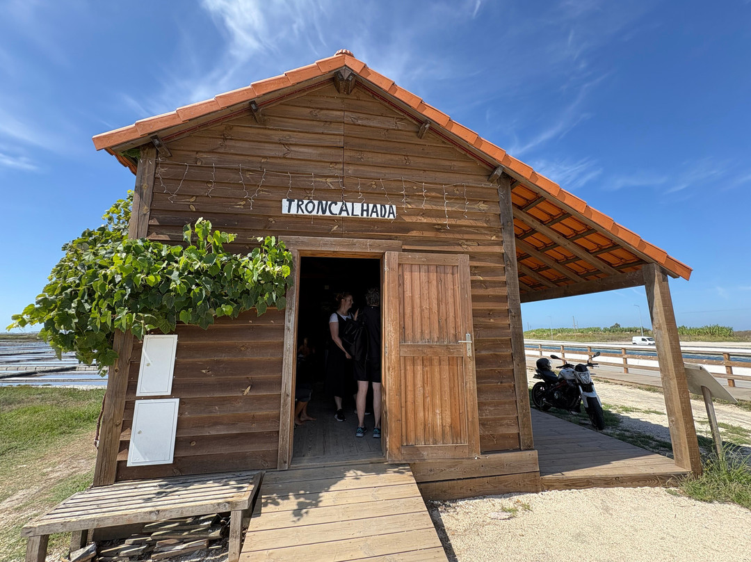 Ecomuseu Marinha da Troncalhada-阿威罗必去景点