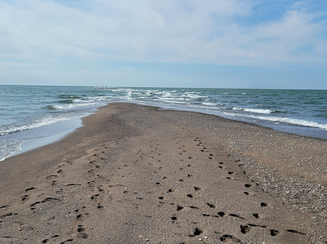 Point Pelee National Park-利明顿必去景点