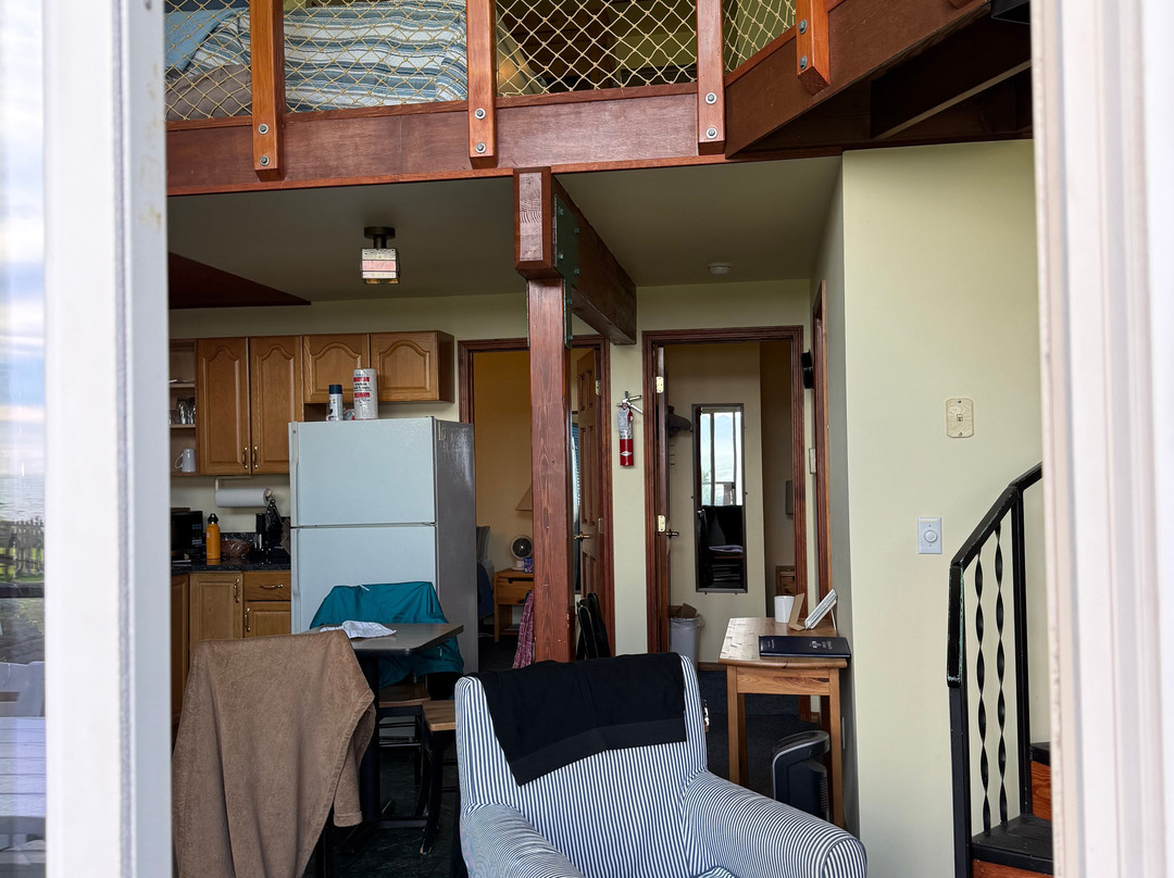 漂流木旅馆及海滨小屋主图