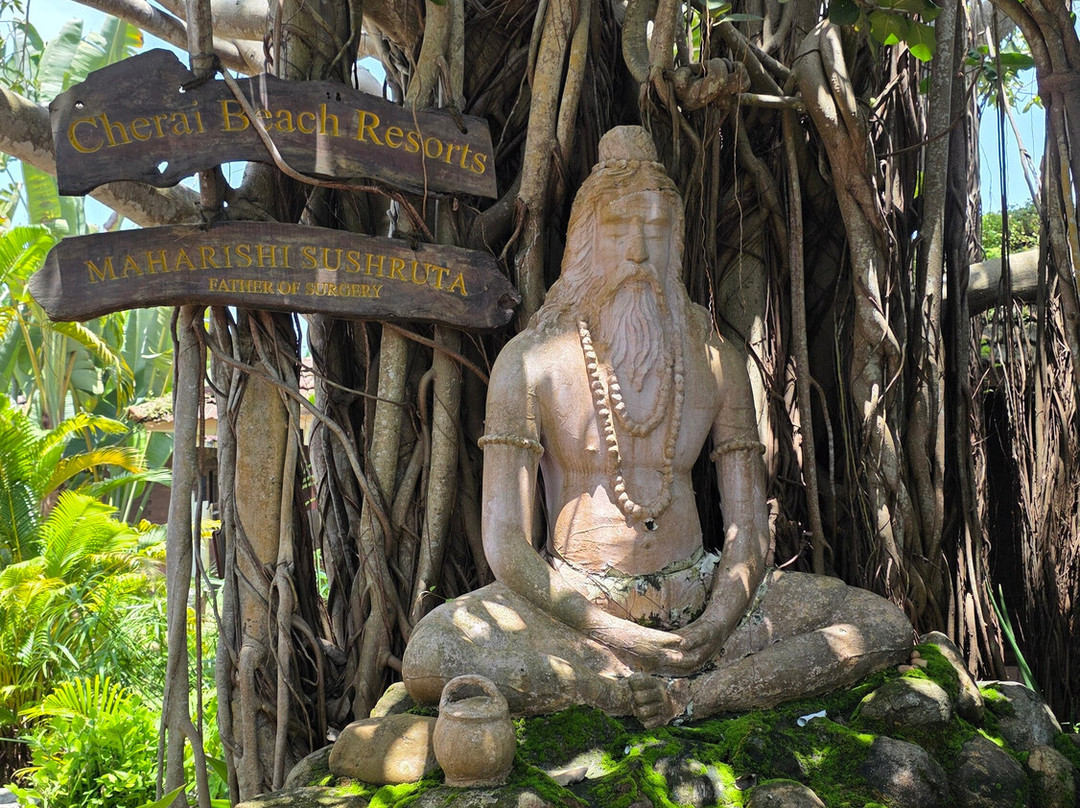 Dr Hari's AyuSaara: Essence of Ayurveda (Formerly Prakruthi.Life)-Cherai Beach必去景点