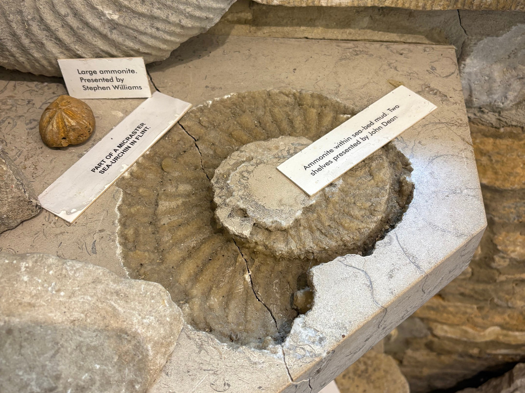 Langton Matravers Museum of the Stone Industry-斯沃尼奇必去景点