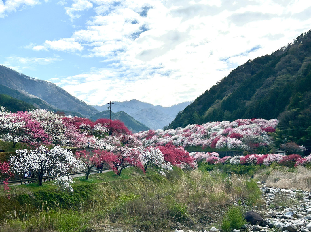 Hanamachi no Sato-阿智村必去景点