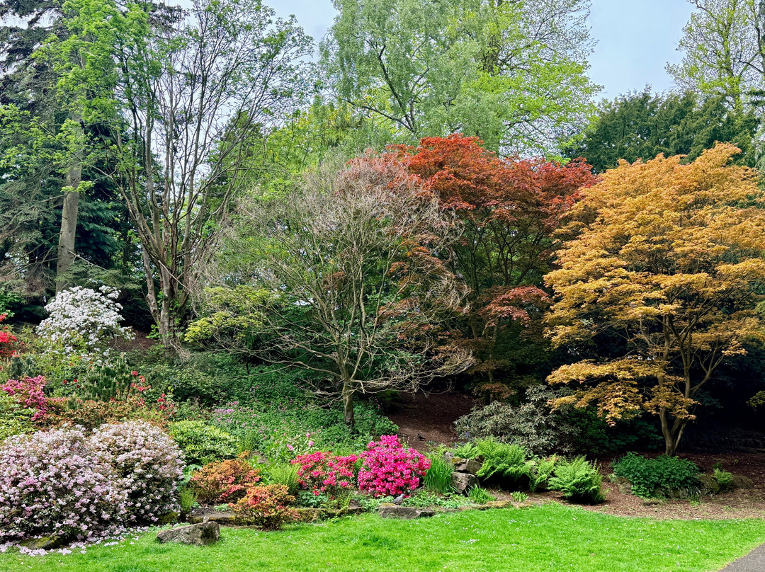 Pittencrieff Park-丹弗姆林必去景点