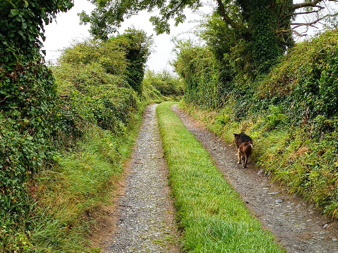 Gleninagh Castle and Fulacht Fiadh-Ballyvaughan必去景点