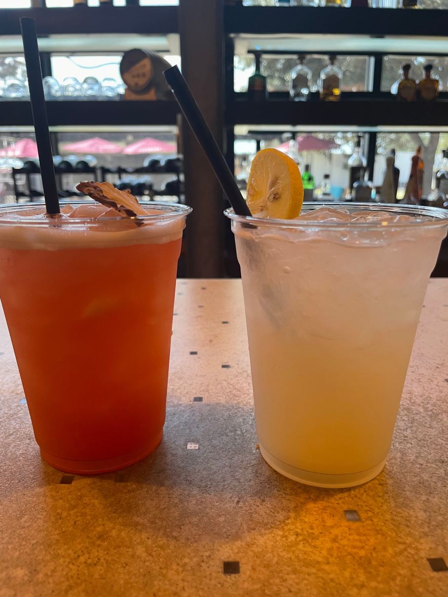 NYLO拉斯科琳娜酒店，希尔顿启缤精选-旅行者
