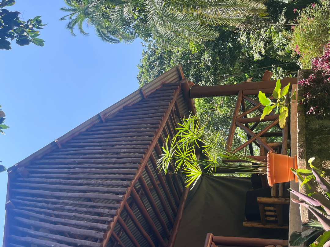 Kibale Forest Camp
